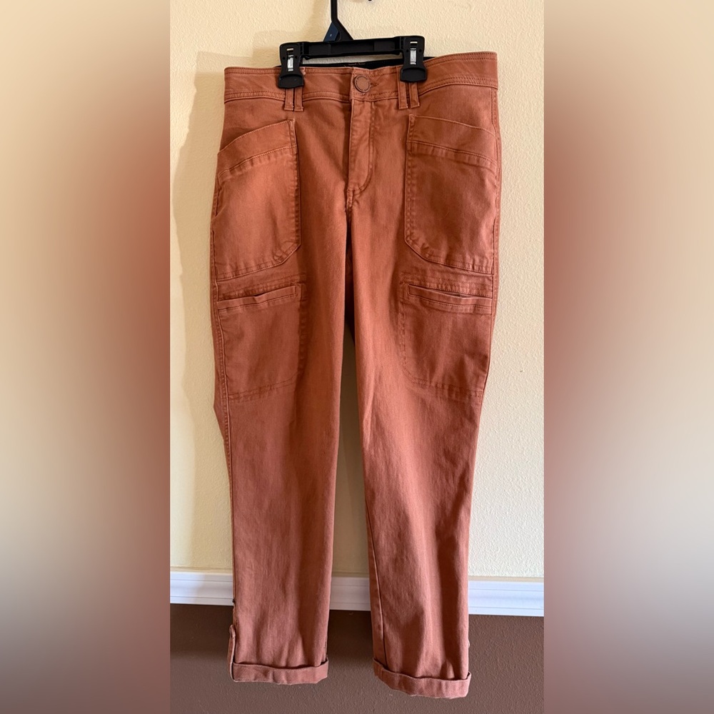DEMOCRACY Ab Technology Terracotta Cargo Pants. 
Modern wide leg, high waste fit